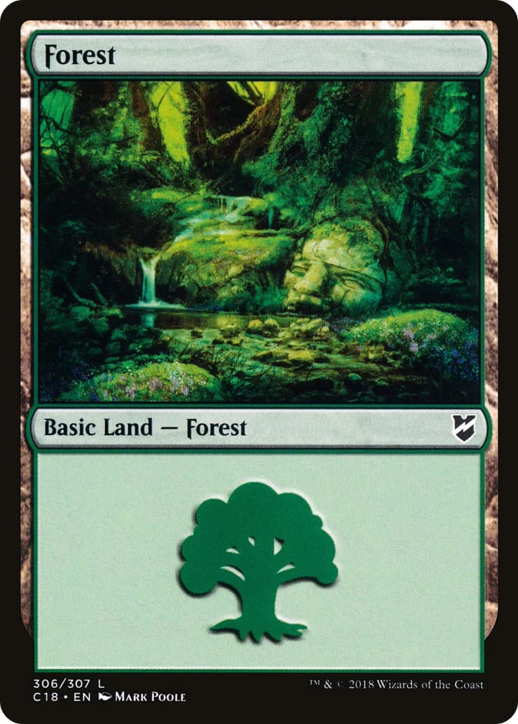 Forest - Image 1