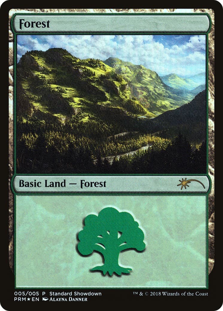 Forest - Image 1