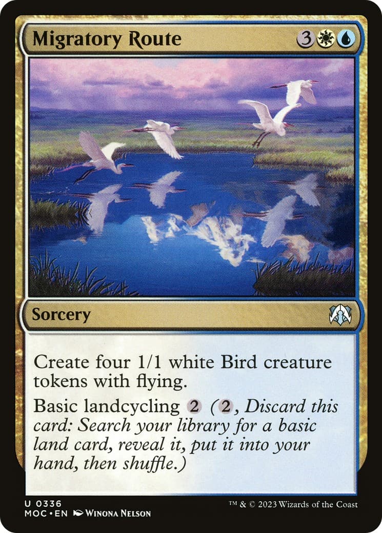 Migratory Route - Image 1