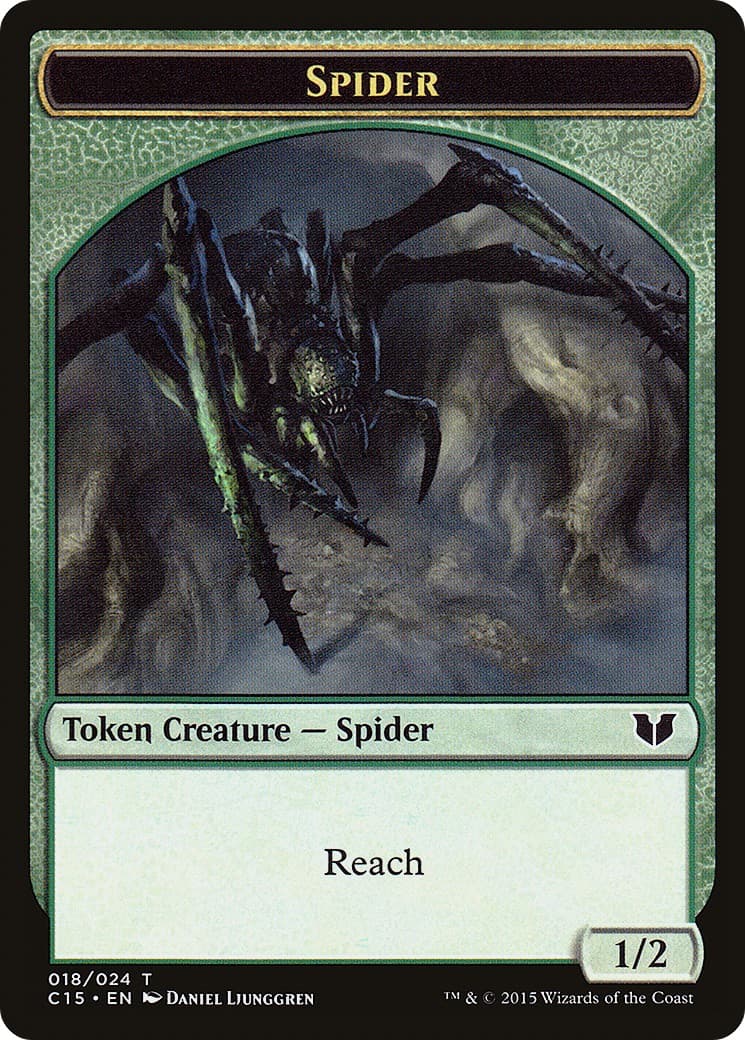 Spider - Image 1