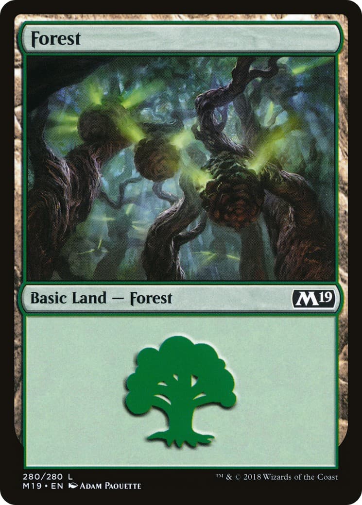 Forest - Image 1