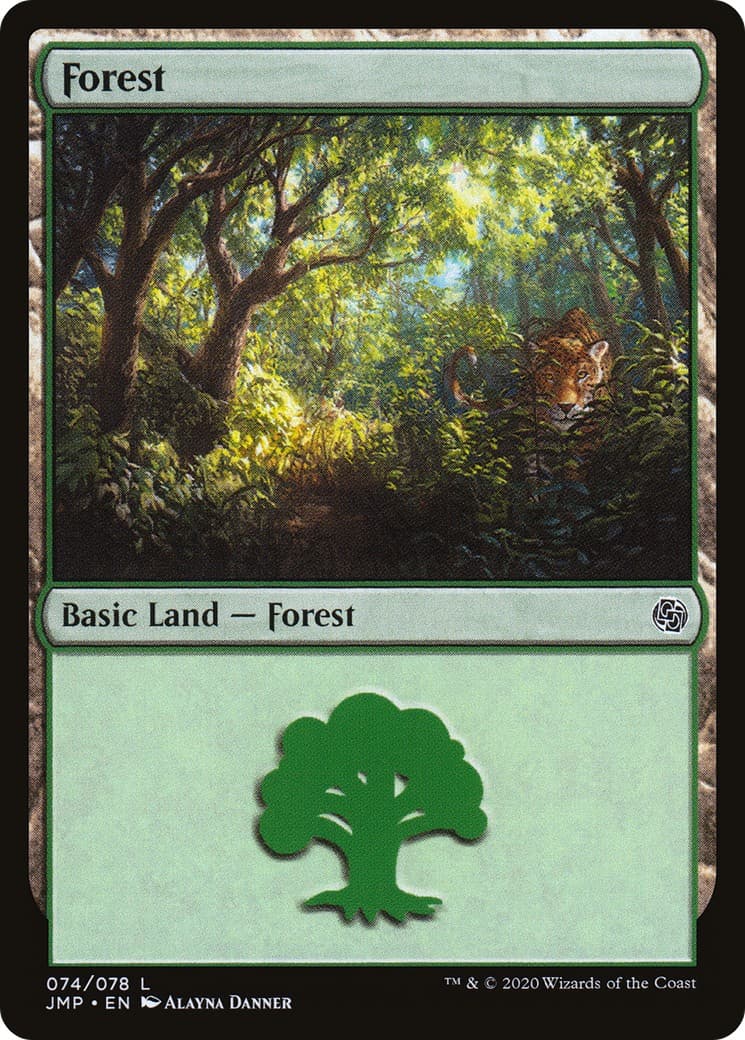 Forest - Image 1