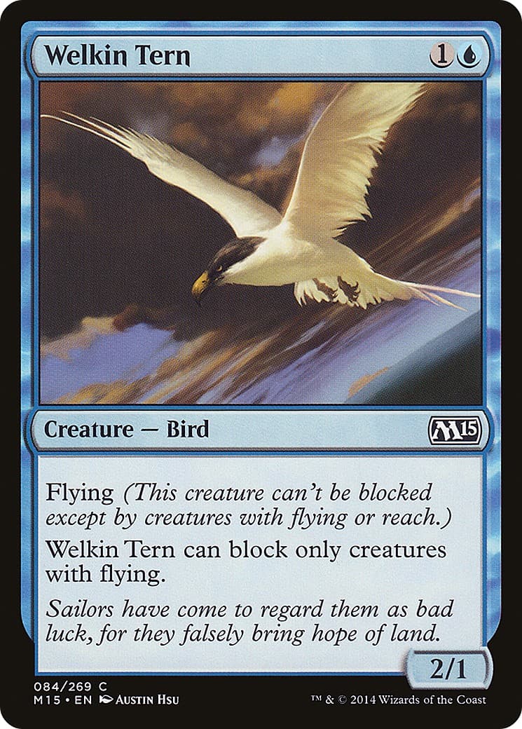 Welkin Tern - Image 1