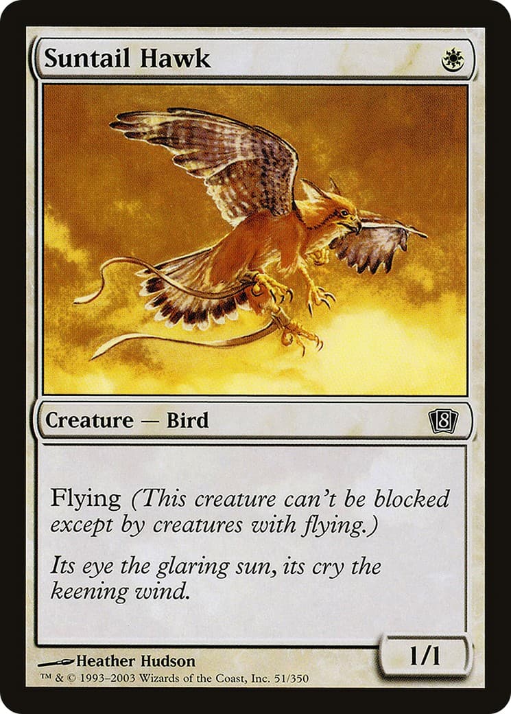 Suntail Hawk - Image 1