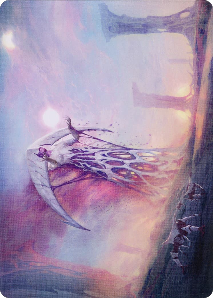 White Sun's Twilight // White Sun's Twilight - Image 1