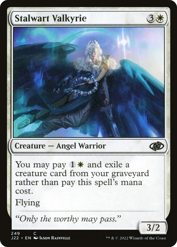 Stalwart Valkyrie - Image 1