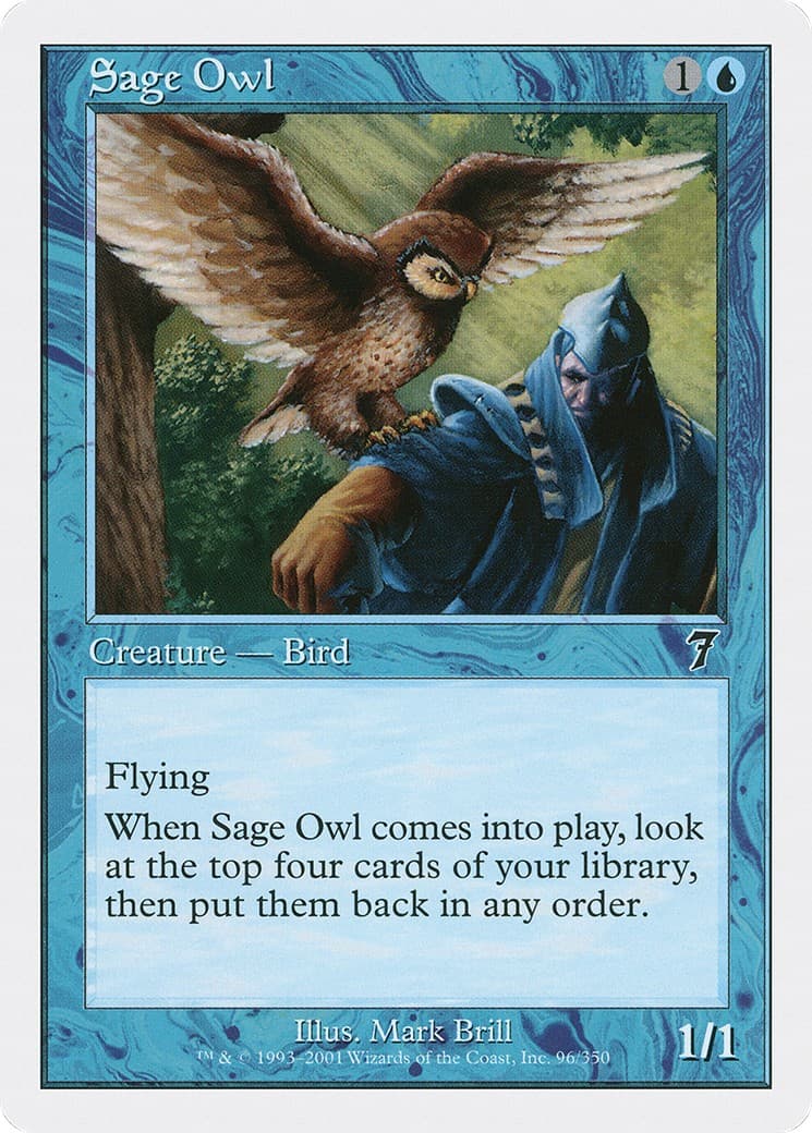 Sage Owl - Image 1