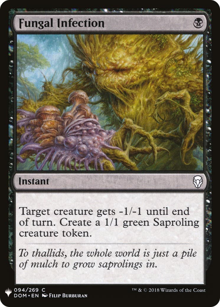 Fungal Infection - Image 1
