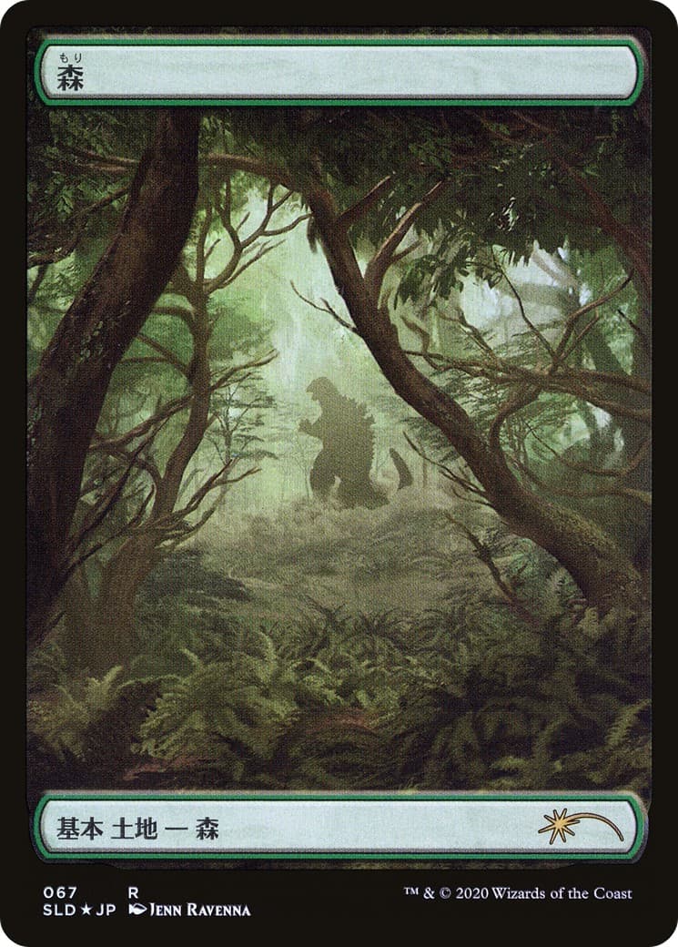 Forest - Image 1