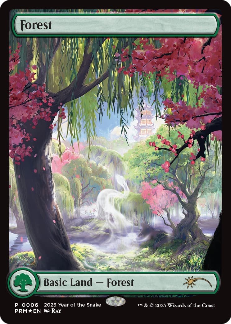 Forest - Image 1