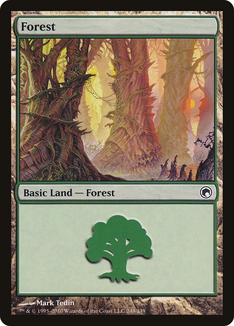 Forest - Image 1