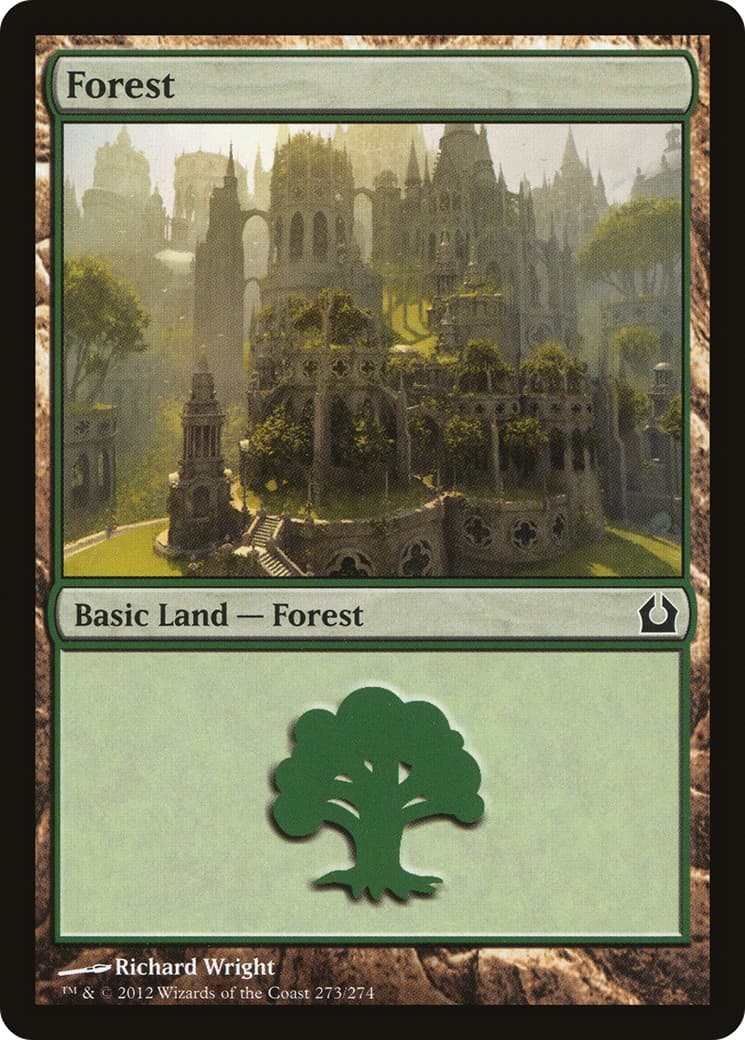 Forest - Image 1