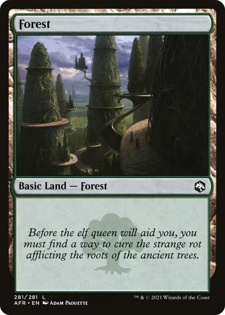 Forest - Image 1