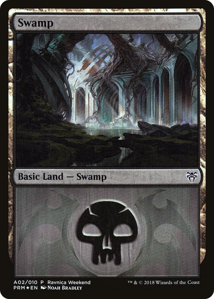 Swamp - Image 1
