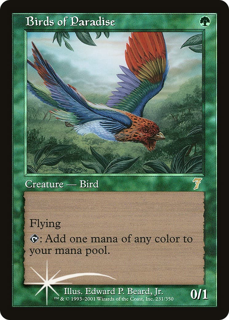 Birds of Paradise - Image 1