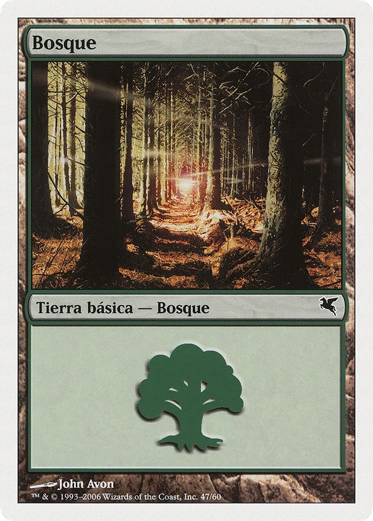 Forest - Image 1