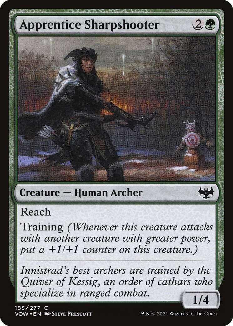 Apprentice Sharpshooter - Image 1