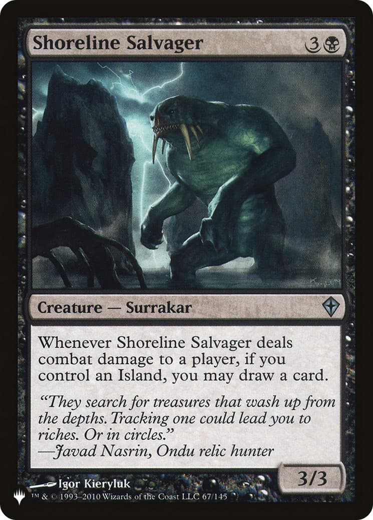 Shoreline Salvager - Image 1