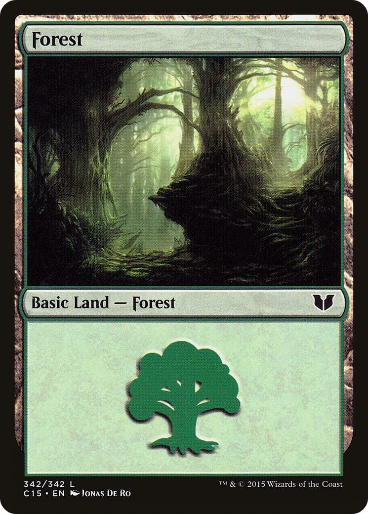 Forest - Image 1