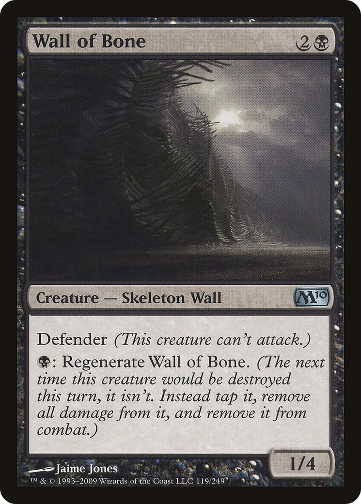 Wall of Bone - Image 1