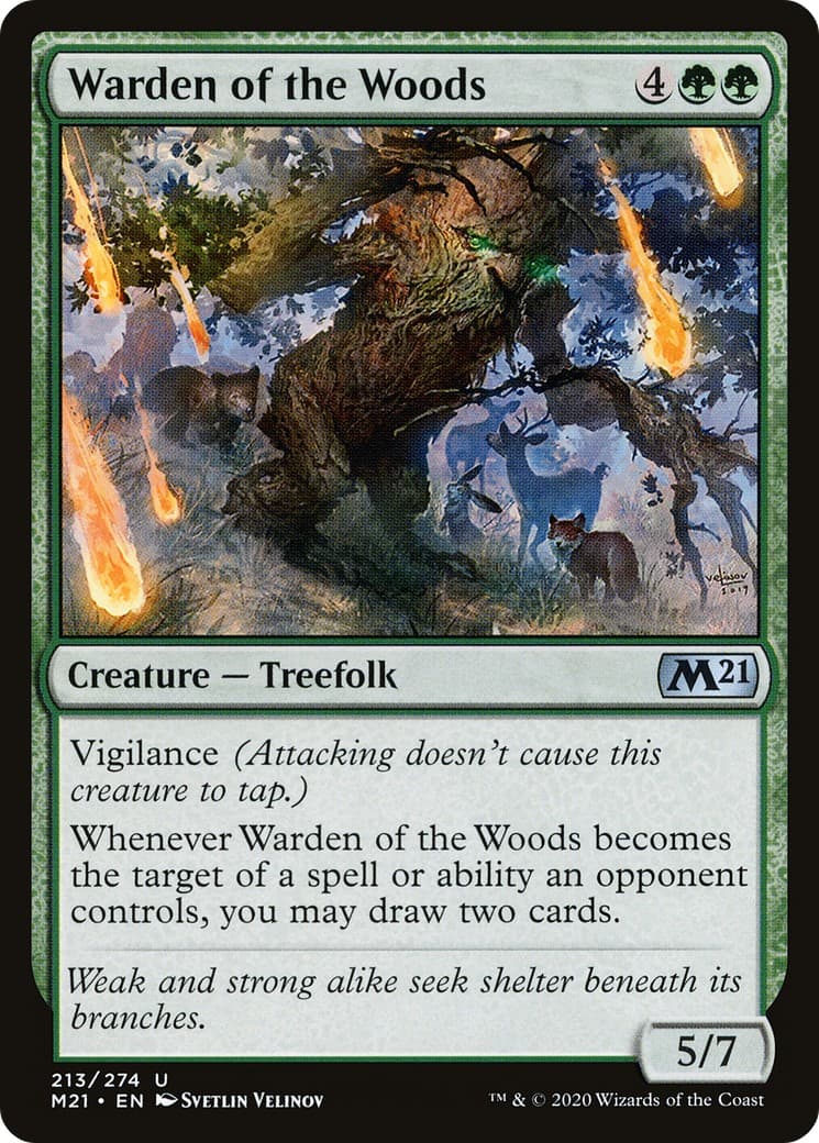 Warden of the Woods - Image 1