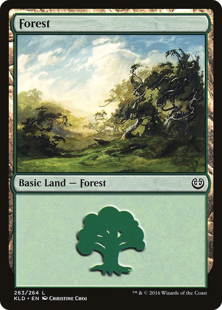 Forest - Image 1