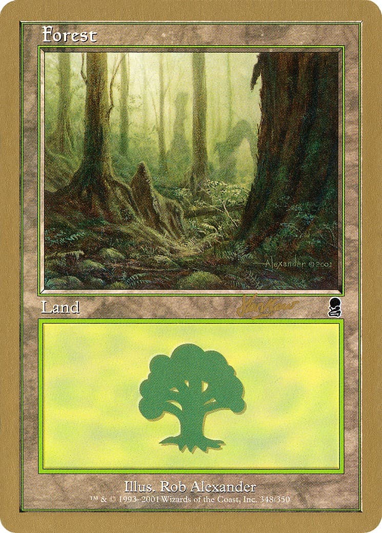 Forest - Image 1