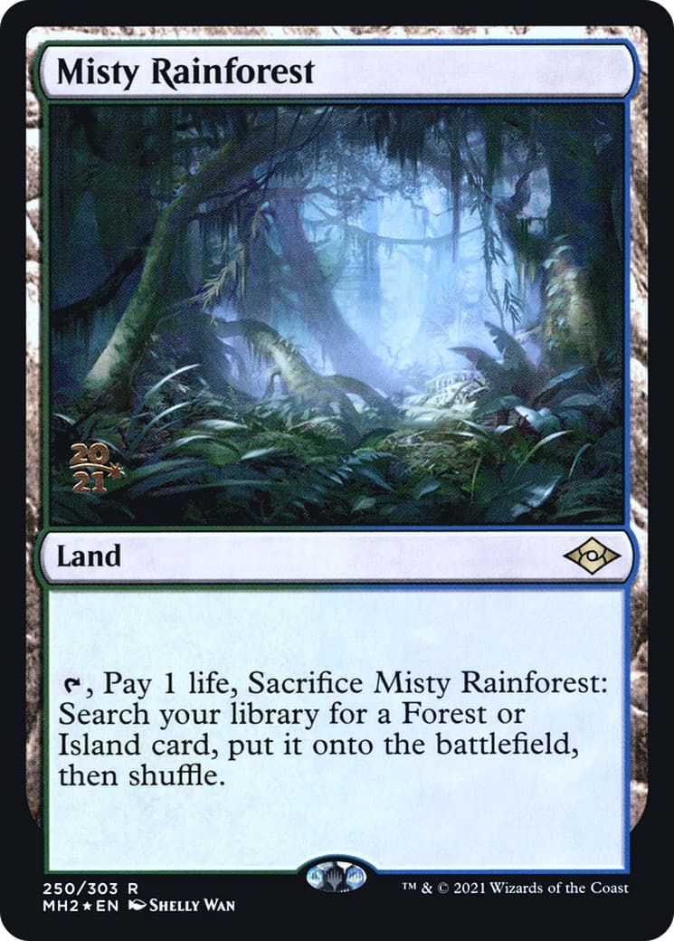 Misty Rainforest - Image 1