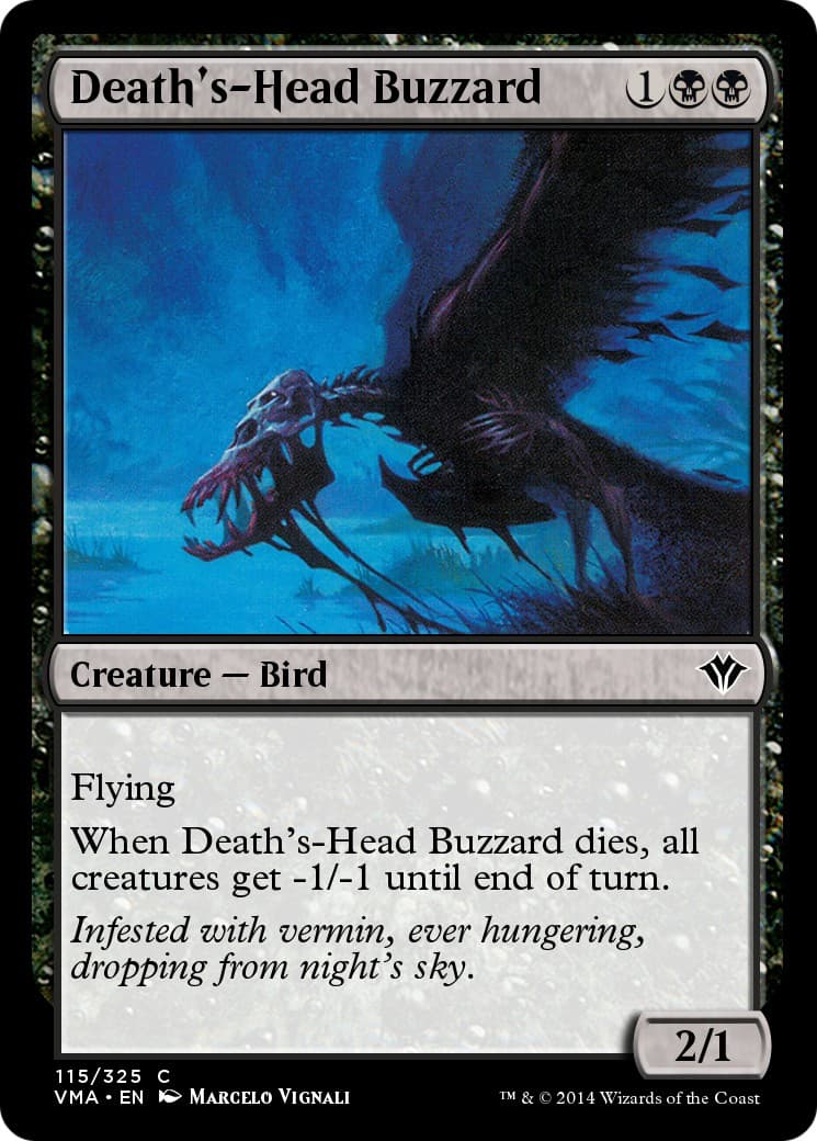 Death's-Head Buzzard - Image 1