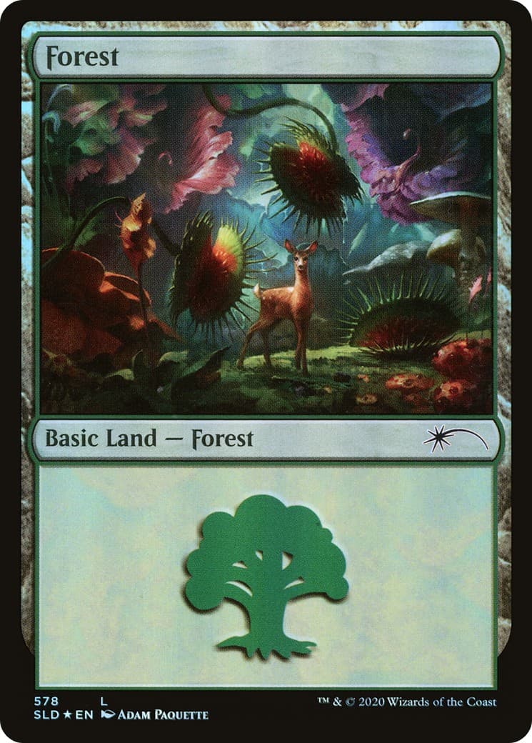 Forest - Image 1