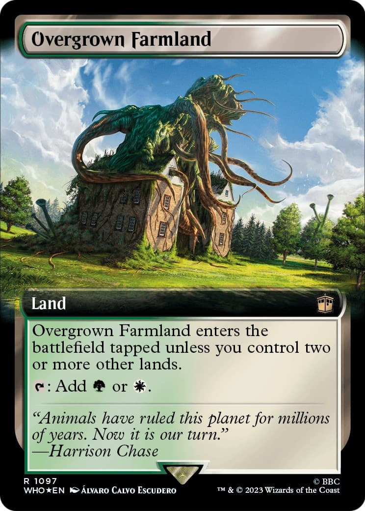 Overgrown Farmland - Image 1