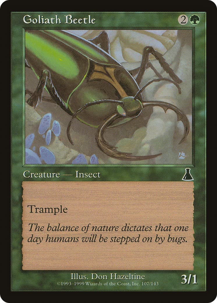 Goliath Beetle - Image 1