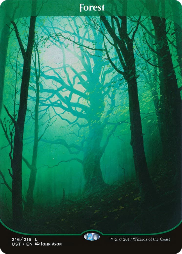 Forest - Image 1