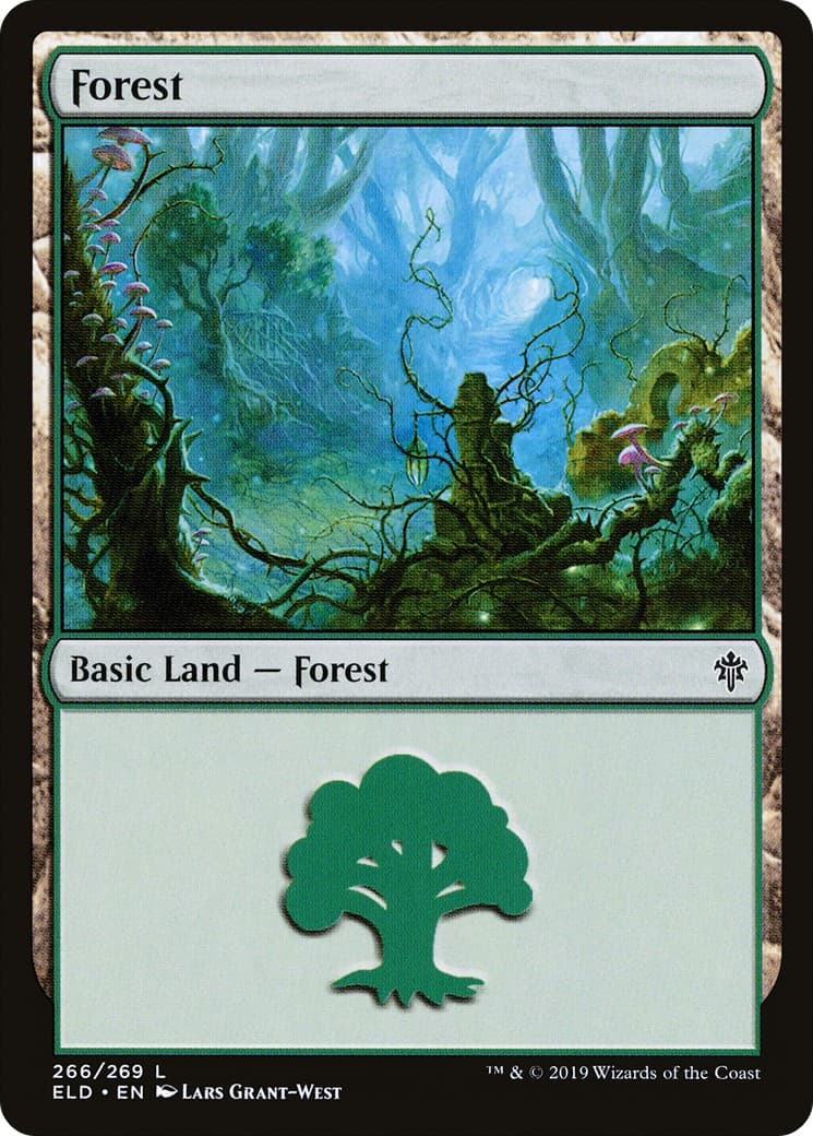 Forest - Image 1