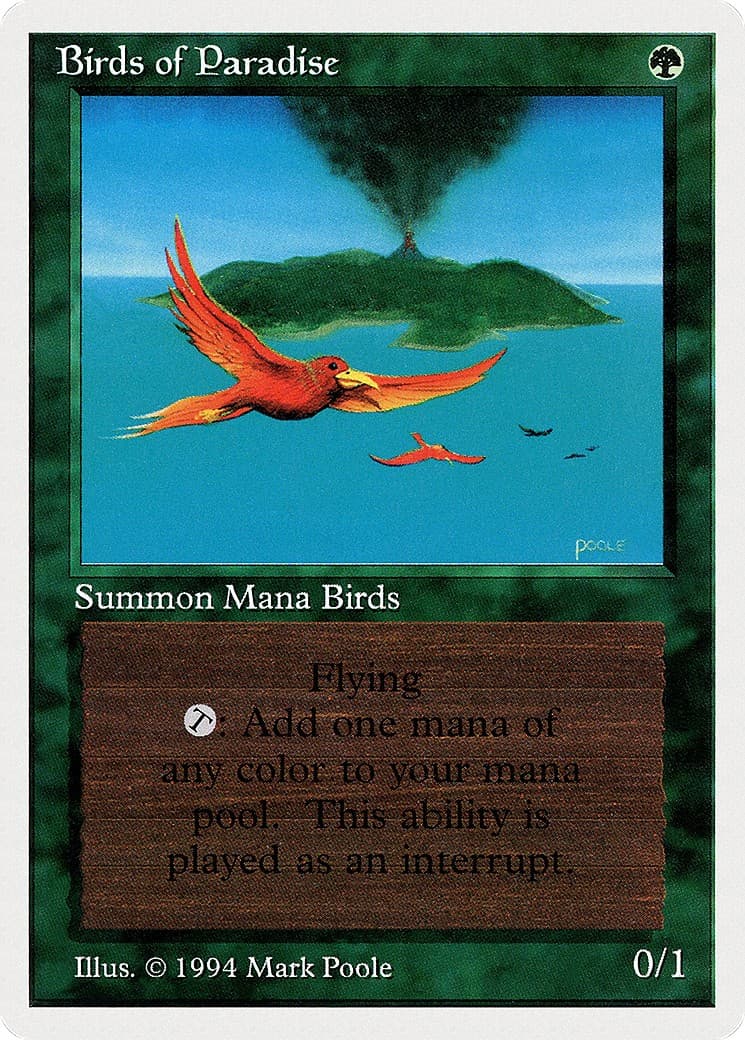 Birds of Paradise - Image 1