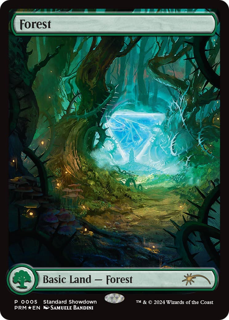 Forest - Image 1