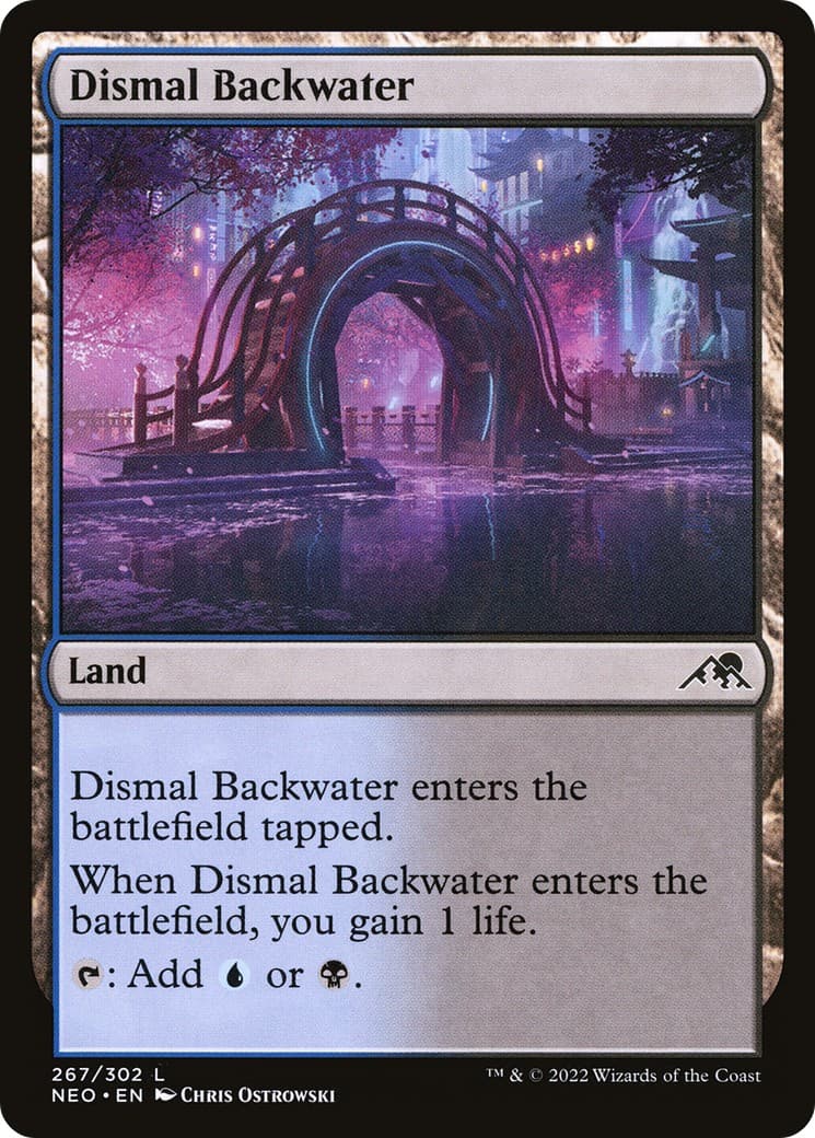 Dismal Backwater - Image 1
