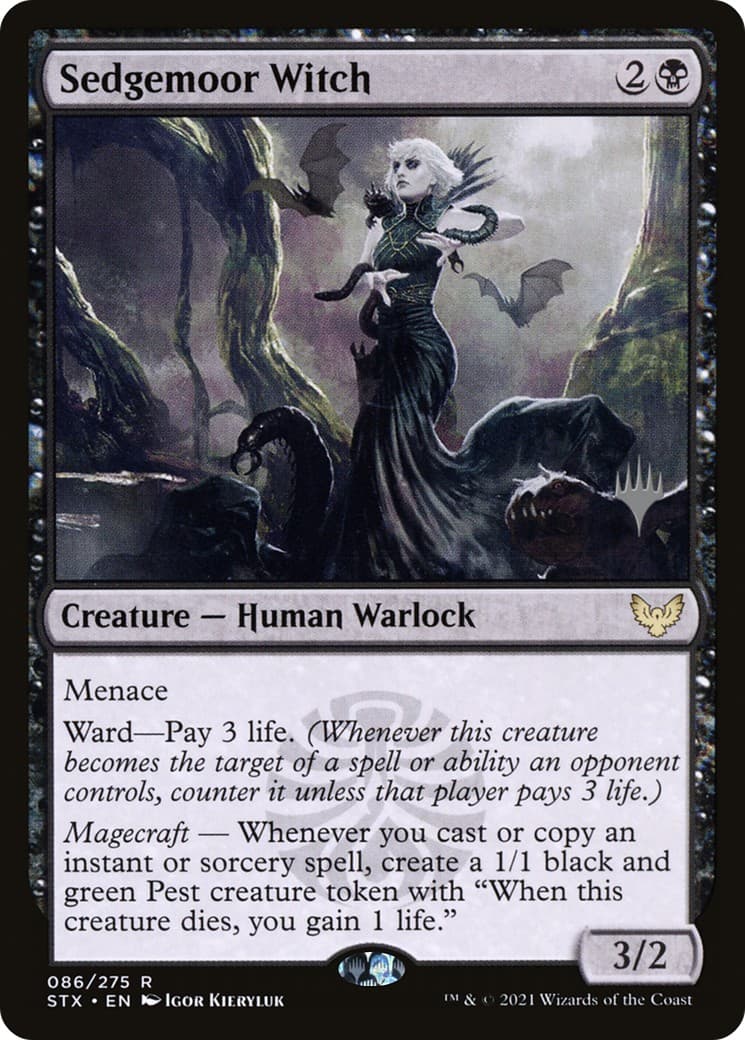 Sedgemoor Witch - Image 1