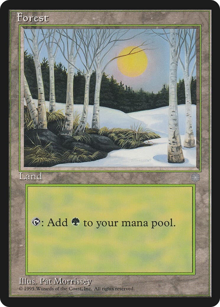 Forest - Image 1