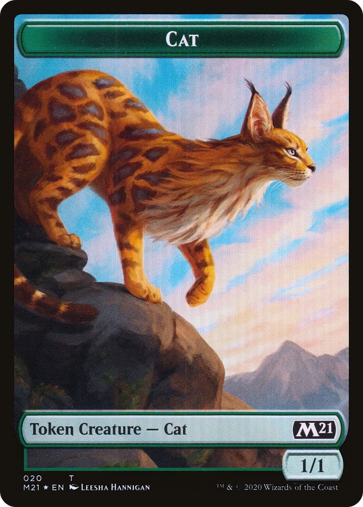 Cat - Image 1