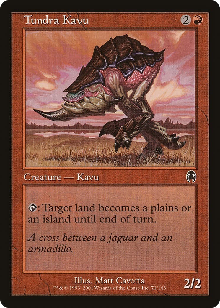 Tundra Kavu - Image 1