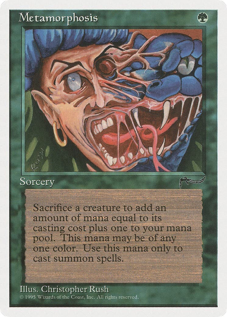 Metamorphosis - Image 1