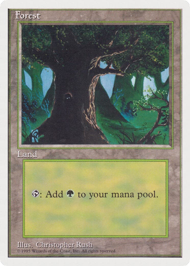 Forest - Image 1
