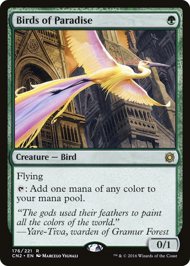 Birds of Paradise - Image 1
