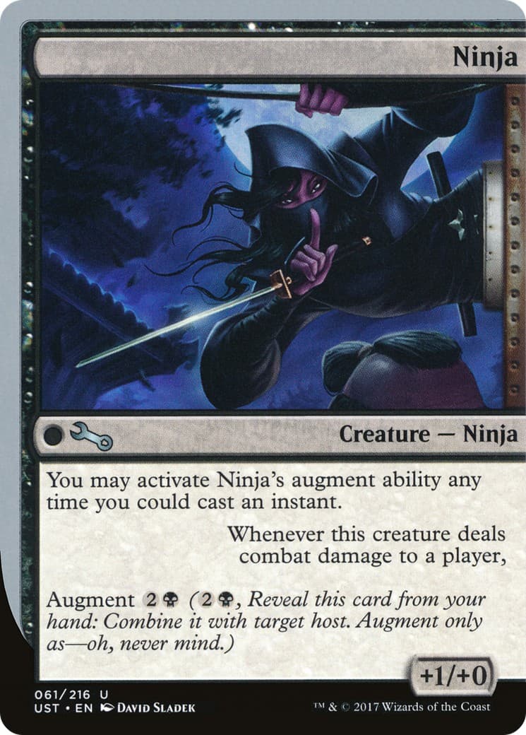 Ninja - Image 1