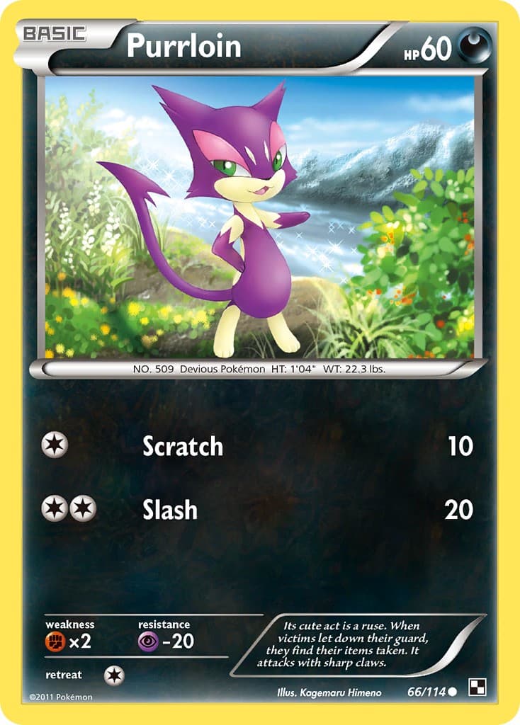 Purrloin - Image 1