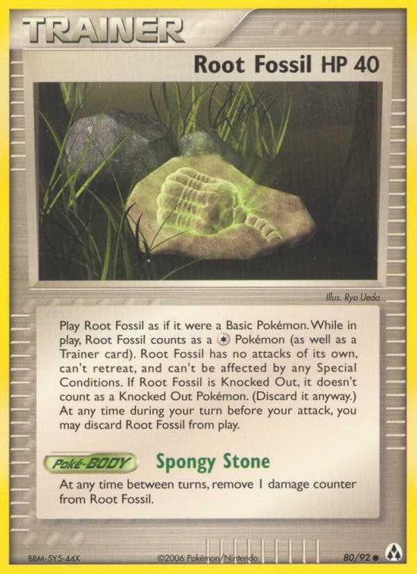 Root Fossil - Image 1