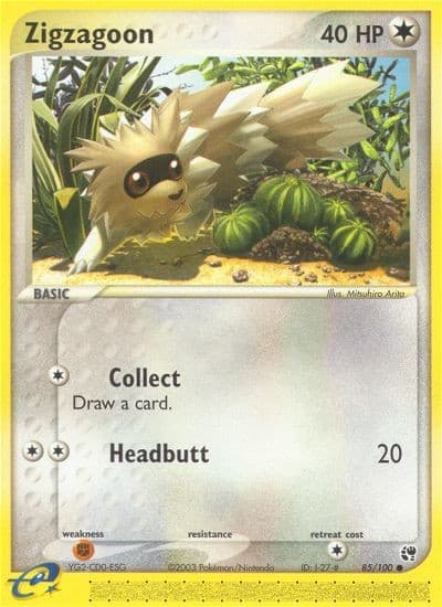 Zigzagoon - Image 1