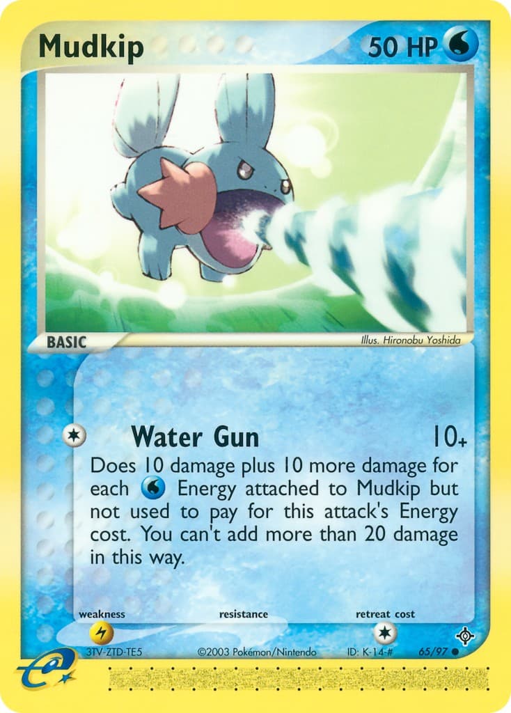 Mudkip - Image 1
