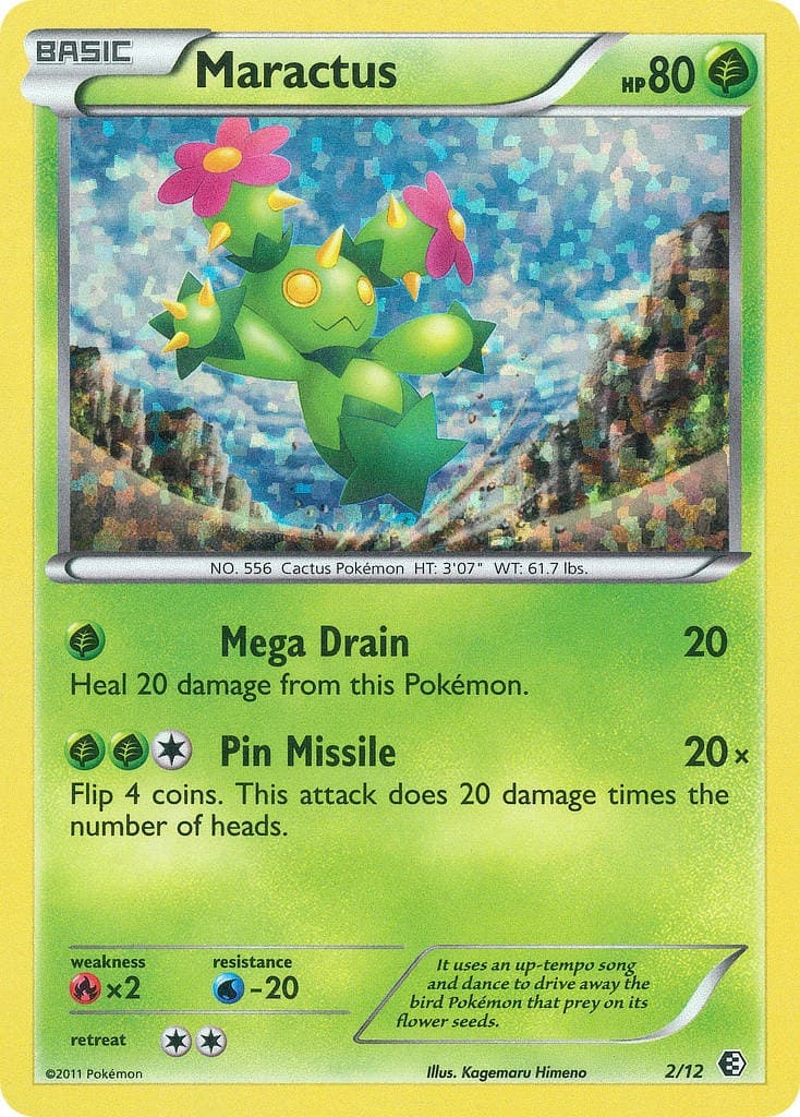 Maractus - Image 1